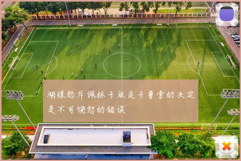 湖媒怒斥佩林卡放走卡鲁索的决定是不可饶恕的错误